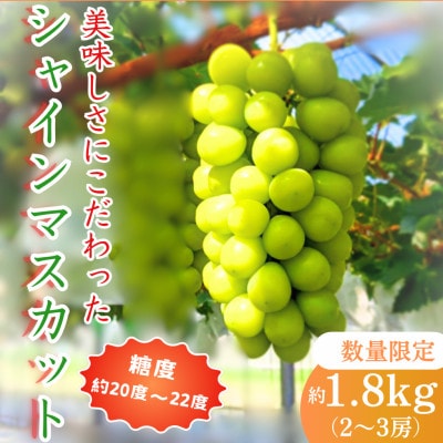 【2025年発送先行予約】美味しさにこだわったシャインマスカット【農家直送】約1.8kg(2～3房)