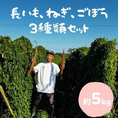 水戸の3年長芋・ごぼう・ねぎセット　計約5kg
