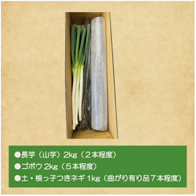水戸の3年長芋・ごぼう・ねぎセット　計約5kg