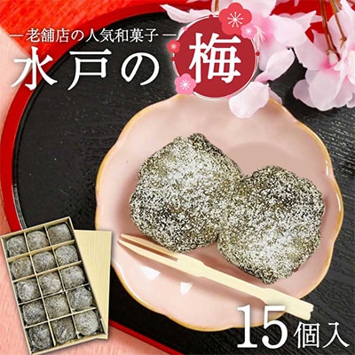 水戸の梅 15個入