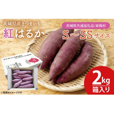 紅はるか　さつまいも　S～SSサイズ2kg箱【茨城県共通返礼品/東海村】
