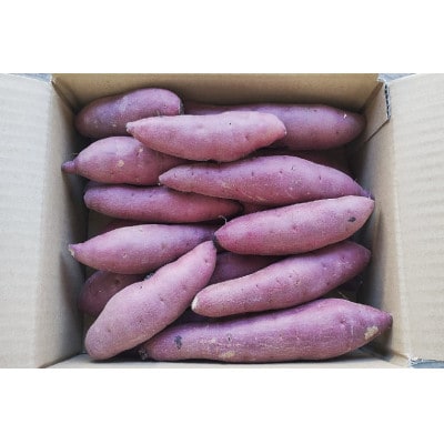 紅はるか　さつまいも　S～SSサイズ2kg箱【茨城県共通返礼品/東海村】