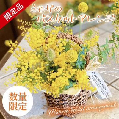 【3月上旬より発送・数量限定】ミモザのバスケットアレンジ(限定品)