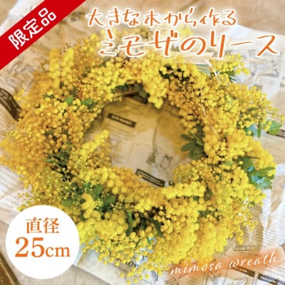 【3月上旬より発送・数量限定】大きな木から作るミモザのリース(限定品)
