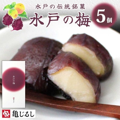 水戸の梅　1箱(5個入)【水戸産梅ふくゆい使用の和菓子】茨城県 水戸市