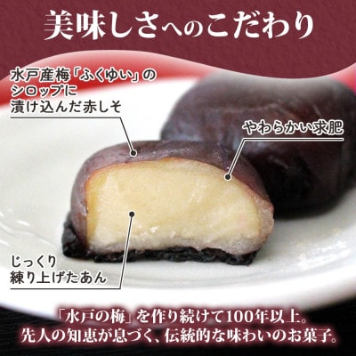 水戸の梅　1箱(5個入)【水戸産梅ふくゆい使用の和菓子】茨城県 水戸市