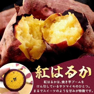 スイートポテトクッキー　1箱(10個入)【紅はるか使用】茨城県 水戸市