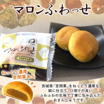 マロンふわっせ　1箱(5個入)【笠間栗の濃厚スイーツ】茨城県 水戸市