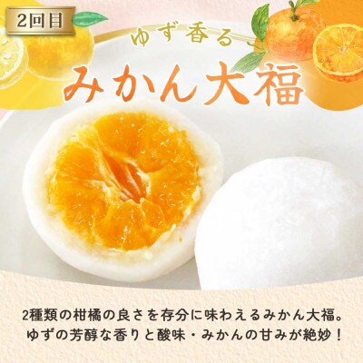 【毎月定期便】亀印製菓 和スイーツ頒布会A 全3回