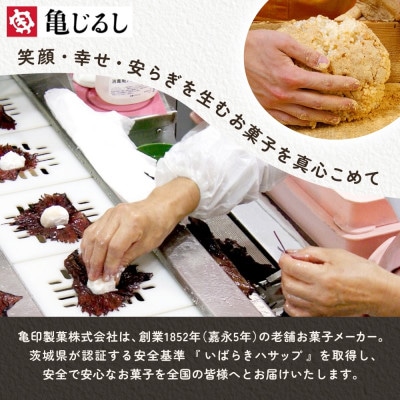 【毎月定期便】亀印製菓 和スイーツ頒布会C 全2回