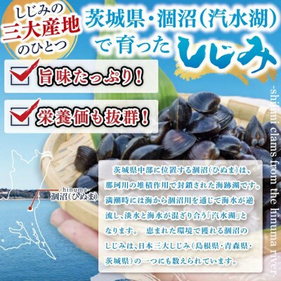 茨城県涸沼川産 冷凍しじみ(砂抜き)500g×2個(1kg)