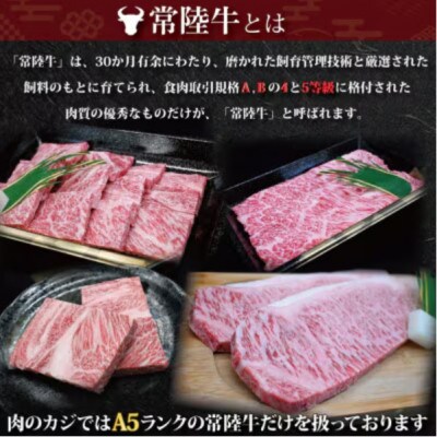 「常陸牛・ローズポーク」ステーキセット 計約880g