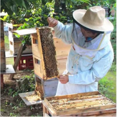 季節で移ろうはちみつ7種プチギフトセット【結蜜Musubi-S7】【茨城県共通返礼品/五霞町】