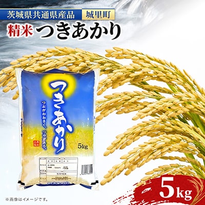【令和7年産】つきあかり 5kg 精米 那珂川流域 清らかな水田 城里町内・桂農産の お米