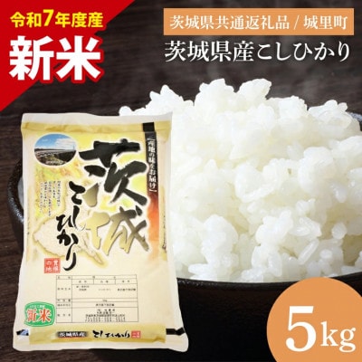 【令和7年度産 新米】茨城県産こしひかり(精米) 5kg(茨城県/城里町)