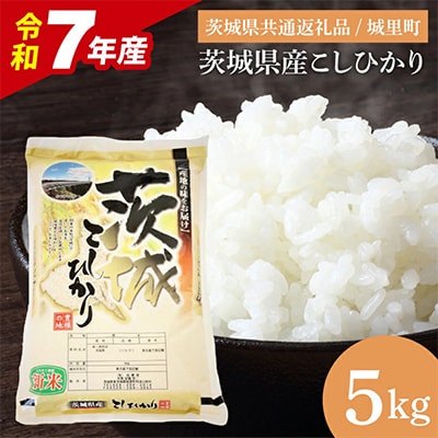 【令和7年産】茨城県産 お米 コシヒカリ 精米 5kg ( 米 どころ 茨城県/城里町)
