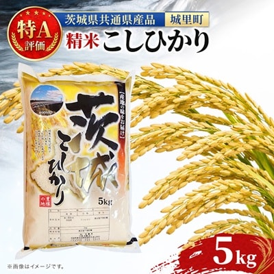 【令和7年産】特A評価 茨城県産 お米 コシヒカリ 精米 5kg ( 米 どころ 茨城県/城里町)