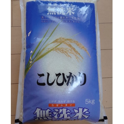令和7年産　茨城産無洗米コシヒカリ　5kg