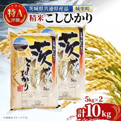 【令和7年産】特A評価 茨城県産 お米 コシヒカリ 精米 10kg(5kg×2) 茨城県 城里町 米