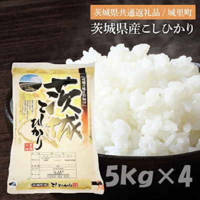 【令和7年産】茨城県産こしひかり(精米)　20kg(5kg×4) (茨城県/城里町)