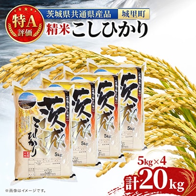 【令和7年産】茨城県産こしひかり(精米)　20kg(5kg×4) (茨城県/城里町)