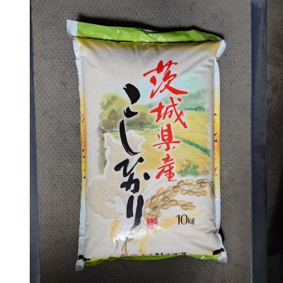 【令和7年産】茨城県産こしひかり(精米)　10kg (茨城県/城里町)