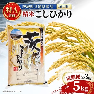 【毎月定期便】特A評価 茨城県産 お米 コシヒカリ 定期便 (5kg×3回) 茨城県の 米 全3回