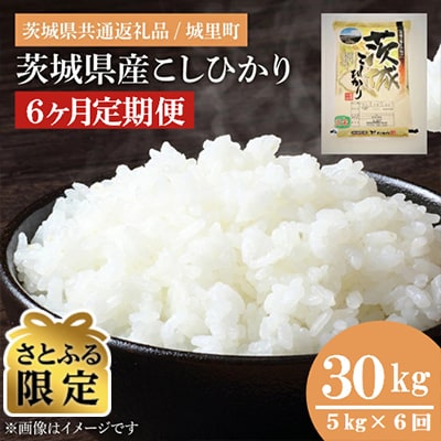 【毎月定期便】【さとふる限定】茨城産コシヒカリ　5kg×全6回