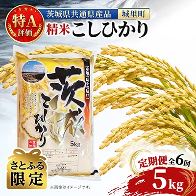 【毎月定期便】【さとふる限定】特A評価 茨城産 コシヒカリ お米 5kg×全6回(米 計30kg)