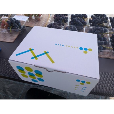 種なし巨峰　約1.5kg(3-4房)