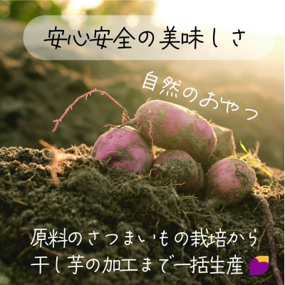 茨城県産 紅はるか 天日干しほしいも訳ありシロタ500g