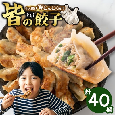皆(kai)の餃子 計40個 10個入り×4パック Wにんにく(生/揚げ) 茨城県 水戸市