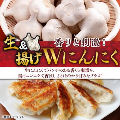 皆(kai)の餃子 計40個 10個入り×4パック Wにんにく(生/揚げ) 茨城県 水戸市
