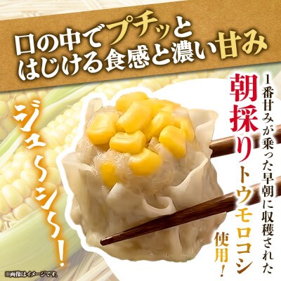 とうもろこし 焼売 計20個 10個×2パック 国産 茨城県 水戸市