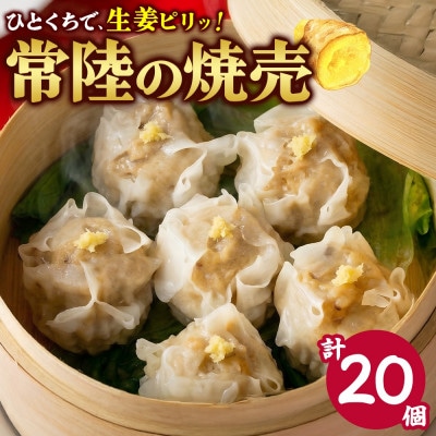 常陸の焼売 計20個 10個×2パック レンジ調理 国産 茨城県 水戸市