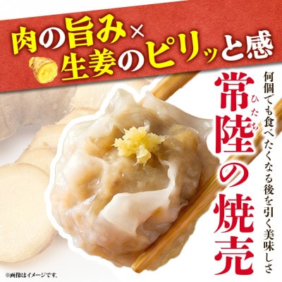 常陸の焼売 計20個 10個×2パック レンジ調理 国産 茨城県 水戸市