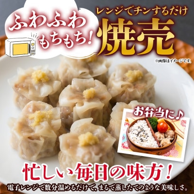 常陸の焼売 計20個 10個×2パック レンジ調理 国産 茨城県 水戸市