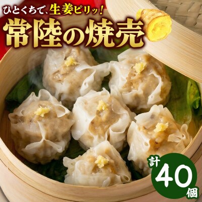 常陸の焼売 計40個 10個×4パック レンジ調理 国産 茨城県 水戸市