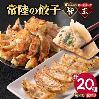 餃子2種 皆(kai)&玄(kuro)計20個 Wにんにく ローズポーク 手作り 茨城県 水戸市