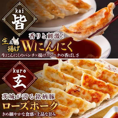 餃子2種 皆(kai)&玄(kuro)計20個 Wにんにく ローズポーク 手作り 茨城県 水戸市