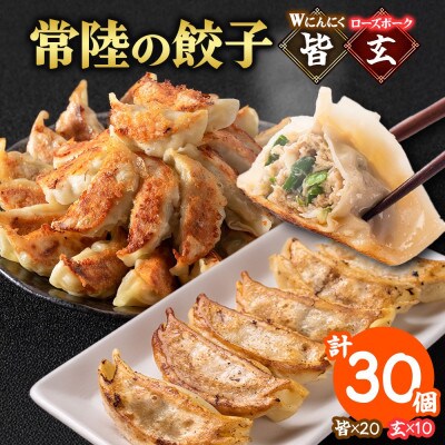 餃子2種 皆(kai)&玄(kuro)計30個 Wにんにく ローズポーク 手作り 茨城県 水戸市