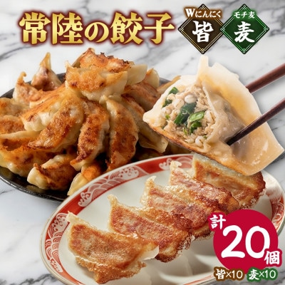 餃子2種 皆(kai)&麦(mugi)計20個 Wにんにく もち麦 手作り 茨城県 水戸市