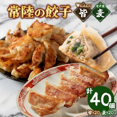 餃子2種 皆(kai)&麦(mugi)計40個 Wにんにく もち麦 手作り 茨城県 水戸市