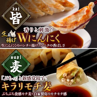 餃子2種 皆(kai)&麦(mugi)計40個 Wにんにく もち麦 手作り 茨城県 水戸市