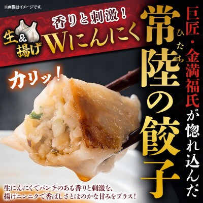 餃子&焼売 各10個 レンジ調理 国産 手作りおかず お取り寄せグルメ