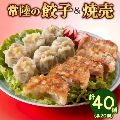 餃子&焼売 各20個 レンジ調理 国産 手作りおかず お取り寄せグルメ