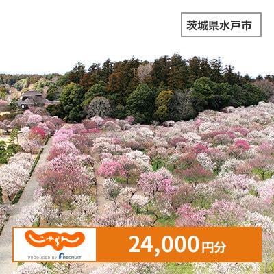 【じゃらんふるさと納税クーポン】 茨城県水戸市でつかえる24,000円 クーポン