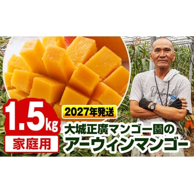 【2027年発送】大城正廣マンゴー園のアーウィンマンゴー(家庭用)1.5kg