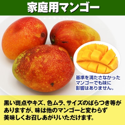 【2026年発送】南の果実園　完熟マンゴー　家庭用2kg