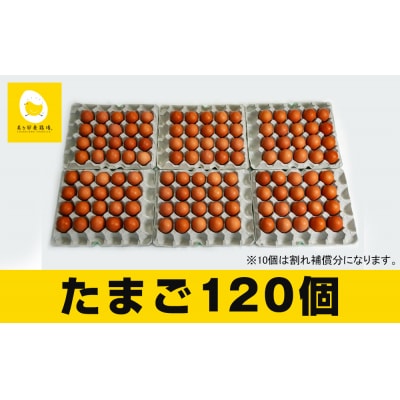 美ら卵養鶏場の新鮮で濃厚な卵【120個入り】